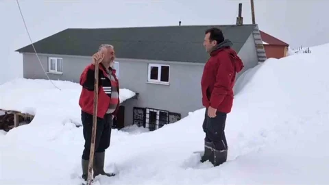 Torul'da Ayı Nöbeti Devam Ediyor