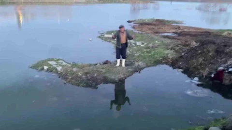 Sivas'ta Baraj Taştı, Buzağı Telef Oldu