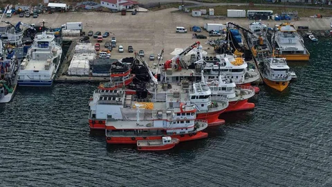 Balık Av Sezonu Trabzon'da Sonlandı