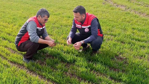 Tomarza'da Saha Kontrolleri Sürüyor