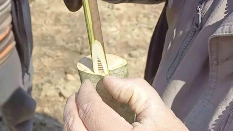 Çanakkale'de Aşı Eğitimi Veriliyor