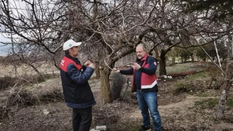 Elazığ'da Zirai Don Önlemleri