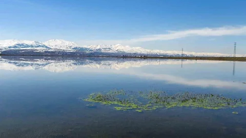 Erzurum'da Zirai Don Uyarısı