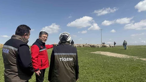 Küçükbaş Hayvancılığa Destek Projesi Başladı