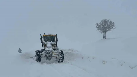 Muş'ta 55 Köy Yolu Kapandı