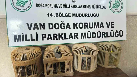 Van’da Keklik Avcısına Cezası 86 Bin 278 Lira Oldu