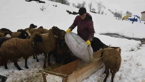 Bitlis'te Kış Şartları Zorlaştırıyor