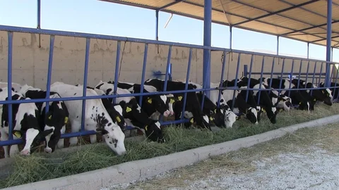 Niğde Kiledere Beldesi Karantinaya Alındı