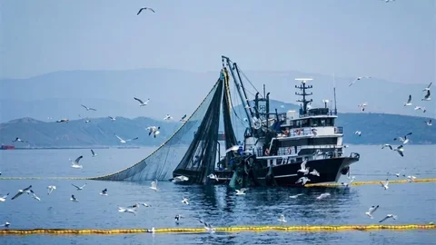 Denizlerde Av Yasağı 15 Nisan'da Başlıyor