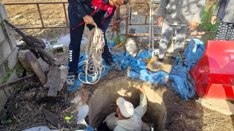 Hatay'da Kuyuya Düşen Buzağı Kurtarıldı