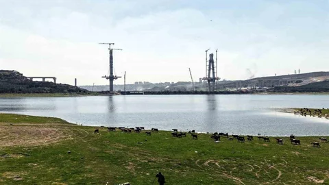 İstanbul'da Keçiler Merada Otluyor