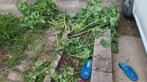 Antalya'da Küçük Çocuk 2. Kattan Düştü