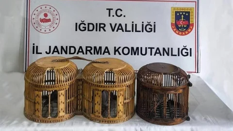 Iğdır’da Kaçak Keklik Avına Suçüstü