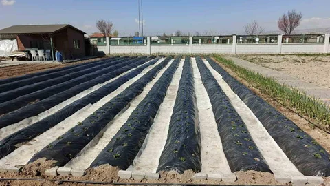 Kayseri'de Doğal Ürünler Hazırlığı
