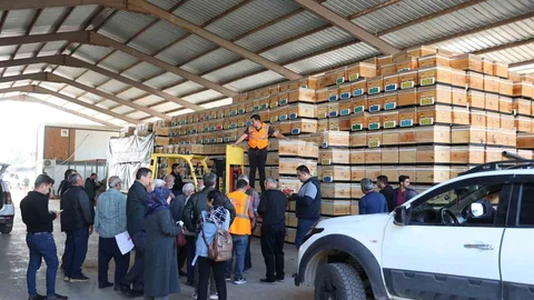 Antalya'da Arıcılara Kovan Desteği