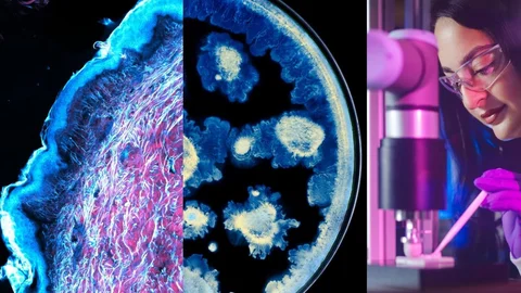 L’Oréal ve Institut Pasteur’den Cilt Sağlığı İş Birliği