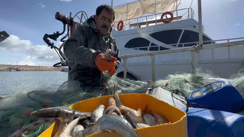Van'da İnci Kefali Av Yasağı Başladı