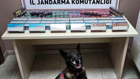 Kayseri'de Kaçak Sigara Ele Geçirildi