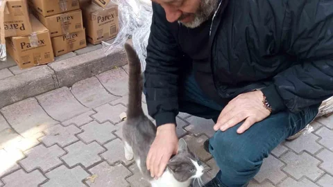 Ordu'da Kediyi İtfaiye Kurtardı