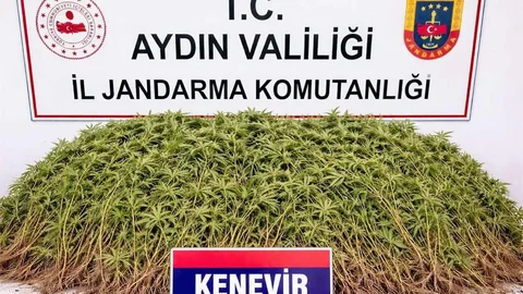 Nazilli'de Uyuşturucu Operasyonu Gerçekleşti