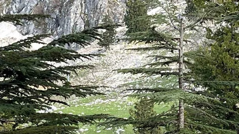 Osmaniye'de Kayalık Düşmesi Faciası