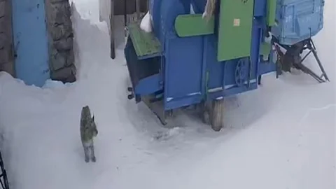 Ardahan'da Vaşak Köye İndi