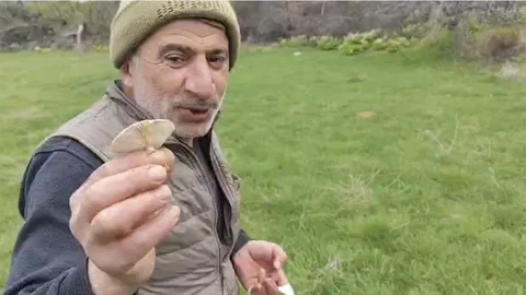 Diyarbakır'da Mantar Toplama Zamanı