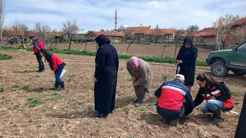 Aslanapa’da Çiftçi Eğitimi Yapıldı