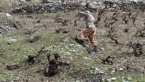 Şırnak'ta Kış ve Bahar Bir Arada Yaşanıyor