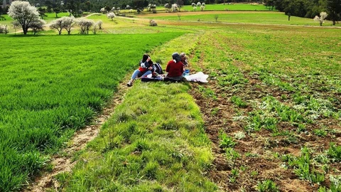 Hisarcık'ta Tarımsal Çalışmalar Gerçekleştirildi