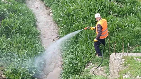 Kahta'da Haşere Mücadelesi Devam Ediyor