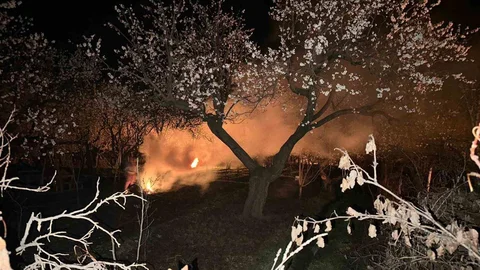 Kars'ta Kayısı Bahçeleri Korunuyor