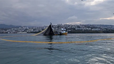 Balıkçılıkta Genel Av Yasağı Başladı