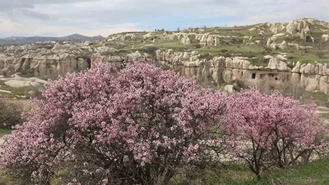 Kapadokya Baharda Canlandı