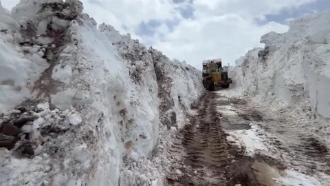 Bingöl'de Karla Mücadele Devam Ediyor