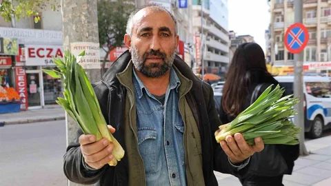 Elazığ'da Çiriş Otu Satışı Başladı