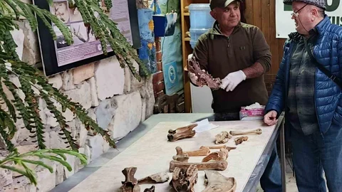 Kuşadası'nda Kemik İncelemesi Yapıldı