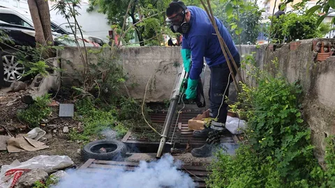 Antalya'da Sinek Mücadelesi Yoğunlaştı