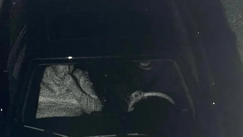 Tunceli'de Gülistan Doku Soruşturması Gelişmeleri