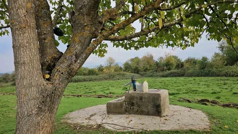 Zonguldak'ta Genç Kızın Cesedi Bulundu