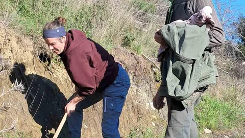 Edremit’te Kazdağı Bal Ormanı İlgi Görüyor