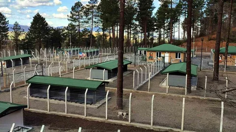 Ünye’de Sahipsiz Hayvanlar İçin Tesis Tamamlanıyor