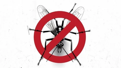 Kuşadası Belediyesi'nden Vektörle Mücadele Açıklaması