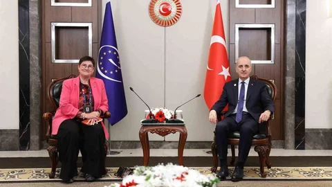 TBMM Başkanı Kurtulmuş'un Avrupa Konseyi ile Görüşmesi