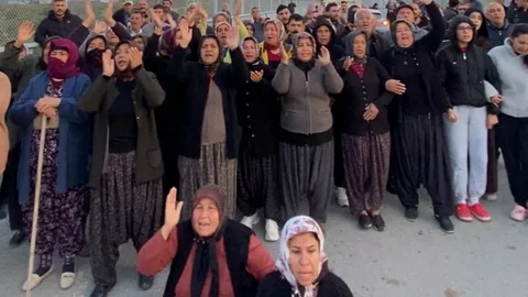 Mersin'de Narenciye Bahçeleri Tartışması