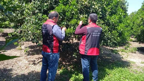 Adana'da Biyolojik Mücadele Eğitimi