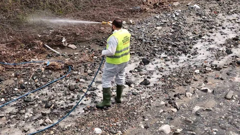 Hatay'da Haşereyle Mücadele Devam Ediyor