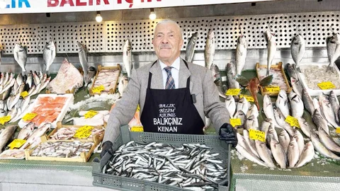 Balık Sezonu Kapandı, Hamsi Şampiyon Oldu