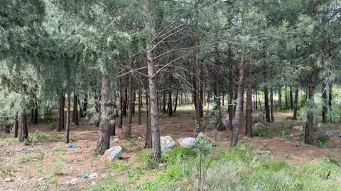 Anne ve Oğlunun Katili Altınları Sattı