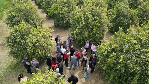 Muğla'da Tarımda Yeni Dönem Başlıyor